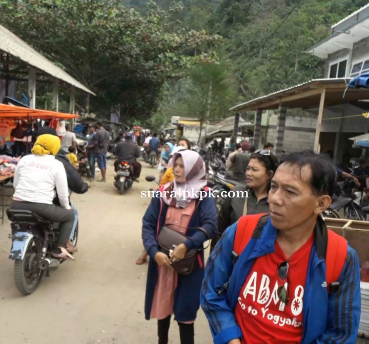 Gelar Ritual Adat Petik Laut, Desa Pujiharjo Dibanjiri Wisatawan