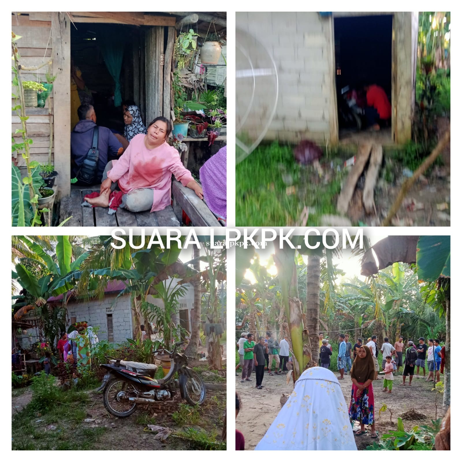 Telah Terjadi Pembacokan Di Desa Gayung Bersambut Kecamatan Selakau Kabupaten Sambas